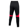 Nike Women's University Red/Bright Crimson Academy Pro Pant